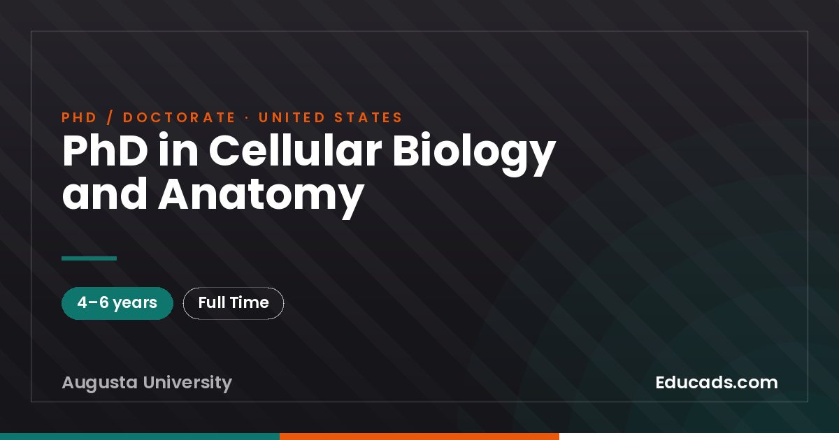 PhD in Cellular Biology and Anatomy