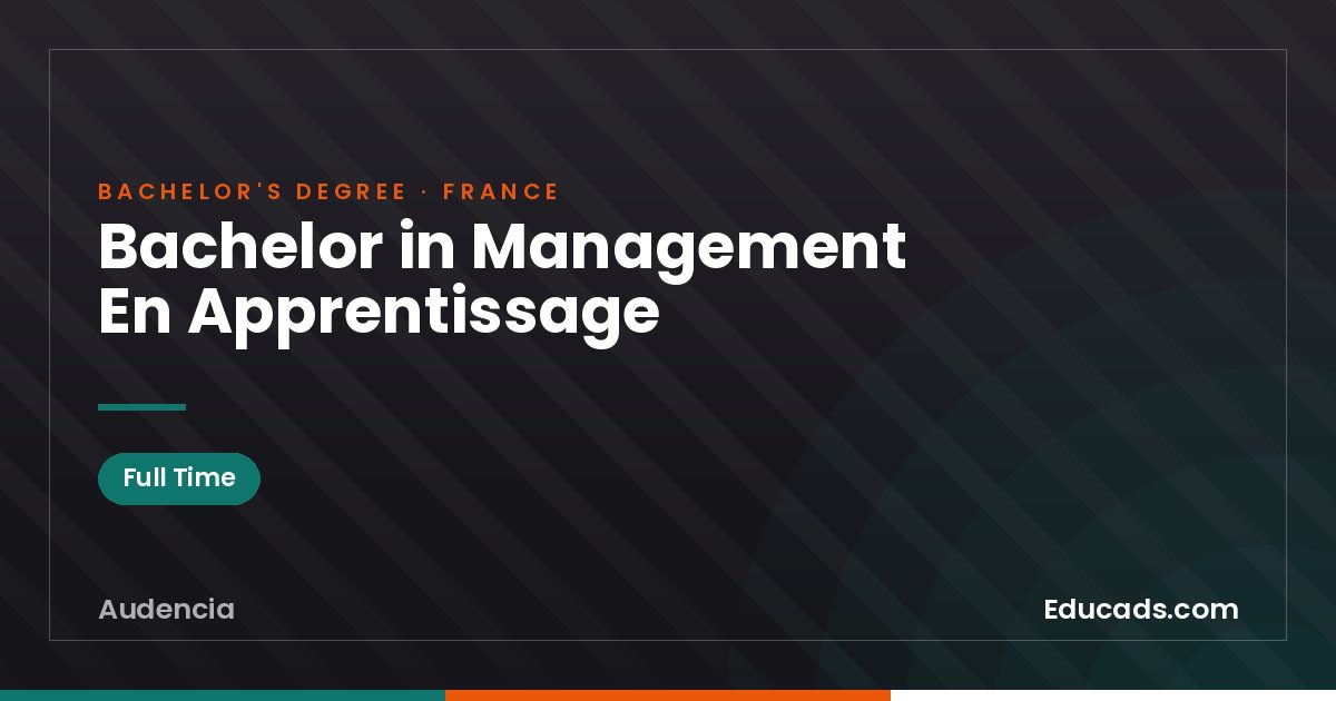 Bachelor in Management En Apprentissage