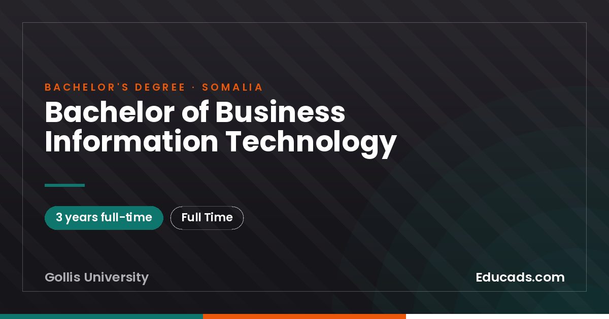 Bachelor of Business Information Technology