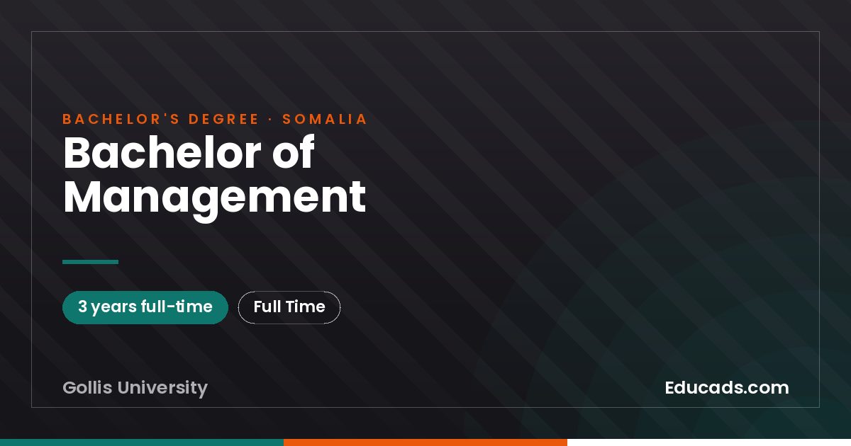 Bachelor of Management