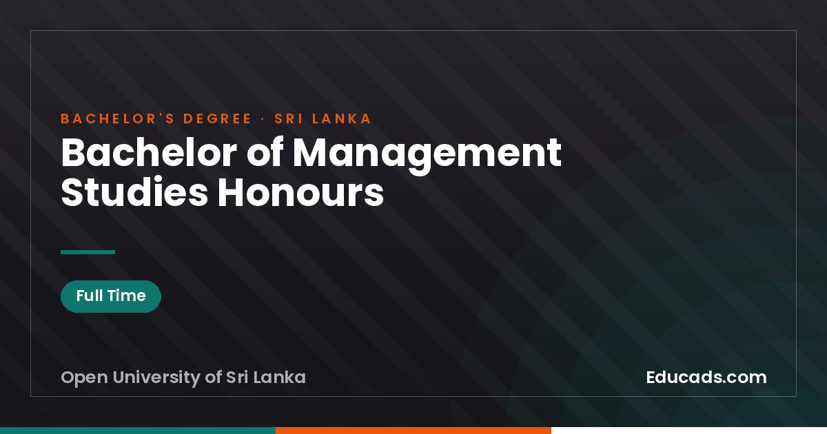Bachelor of Management Studies Honours