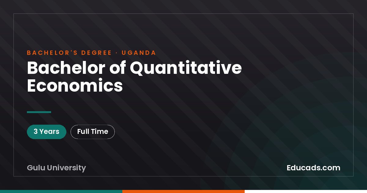 Bachelor of Quantitative Economics