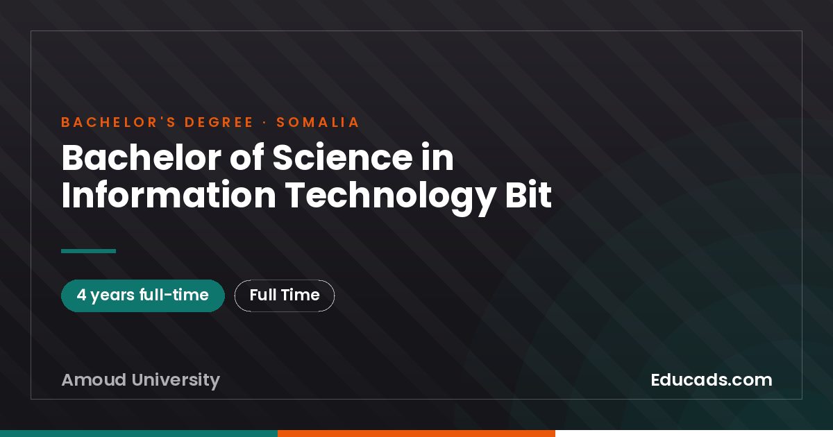 Bachelor of Science in Information Technology Bit