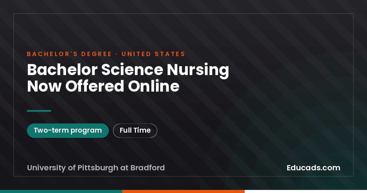 Bachelor Science Nursing Now Offered Online