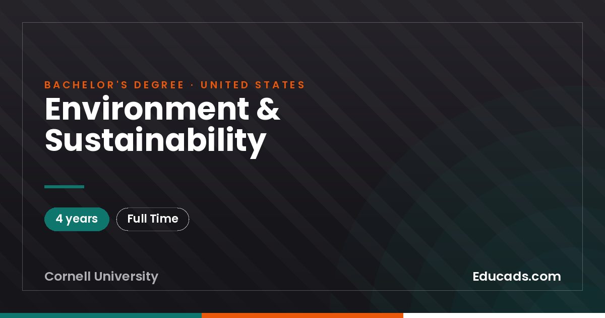 Environment & Sustainability
