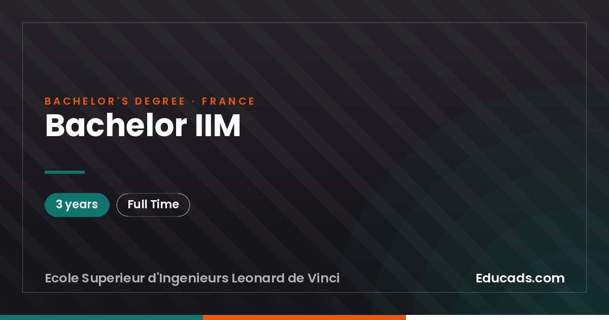 Bachelor IIM