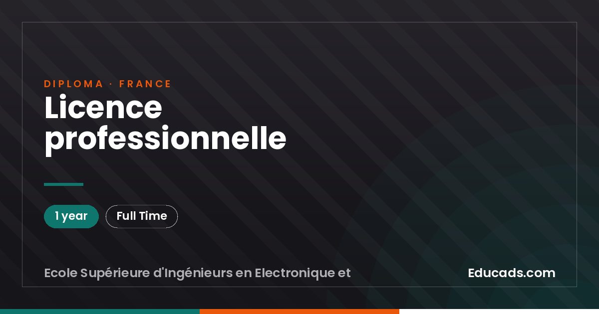 Licence professionnelle