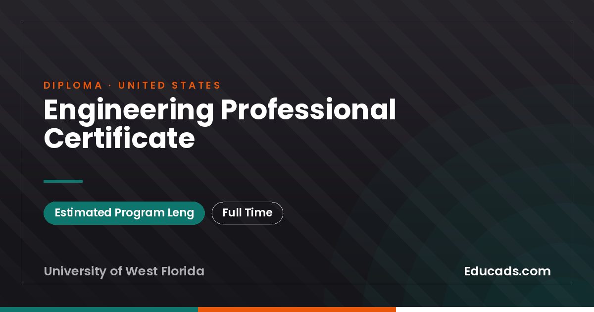 Engineering Professional Certificate