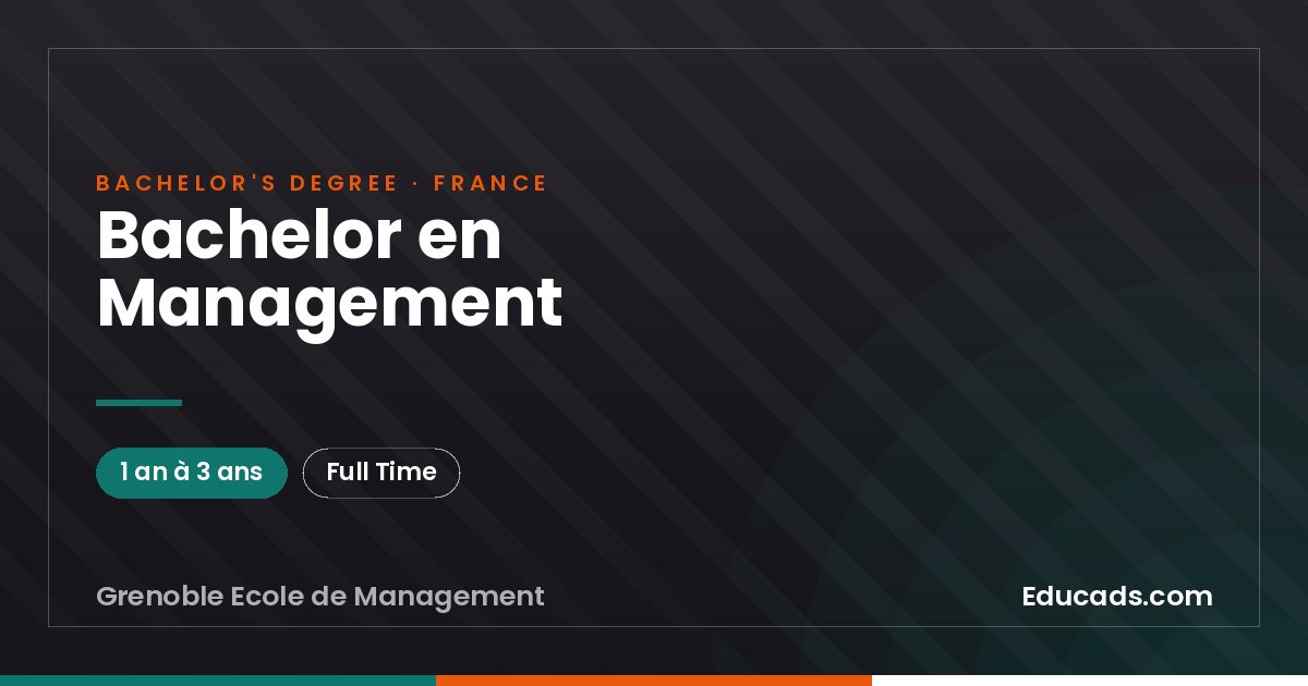 Bachelor en Management