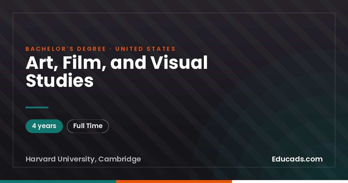 Art, Film, and Visual Studies