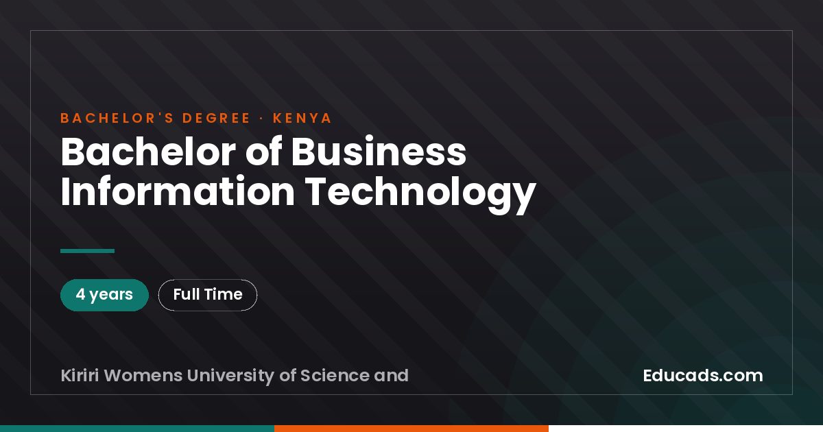 Bachelor of Business Information Technology