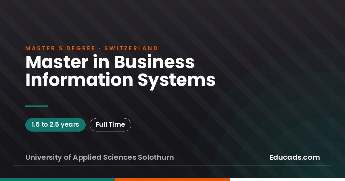 Master in Business Information Systems