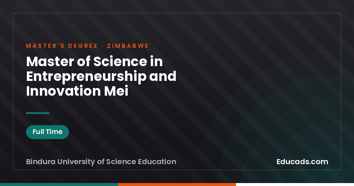 Master of Science in Entrepreneurship and Innovation Mei