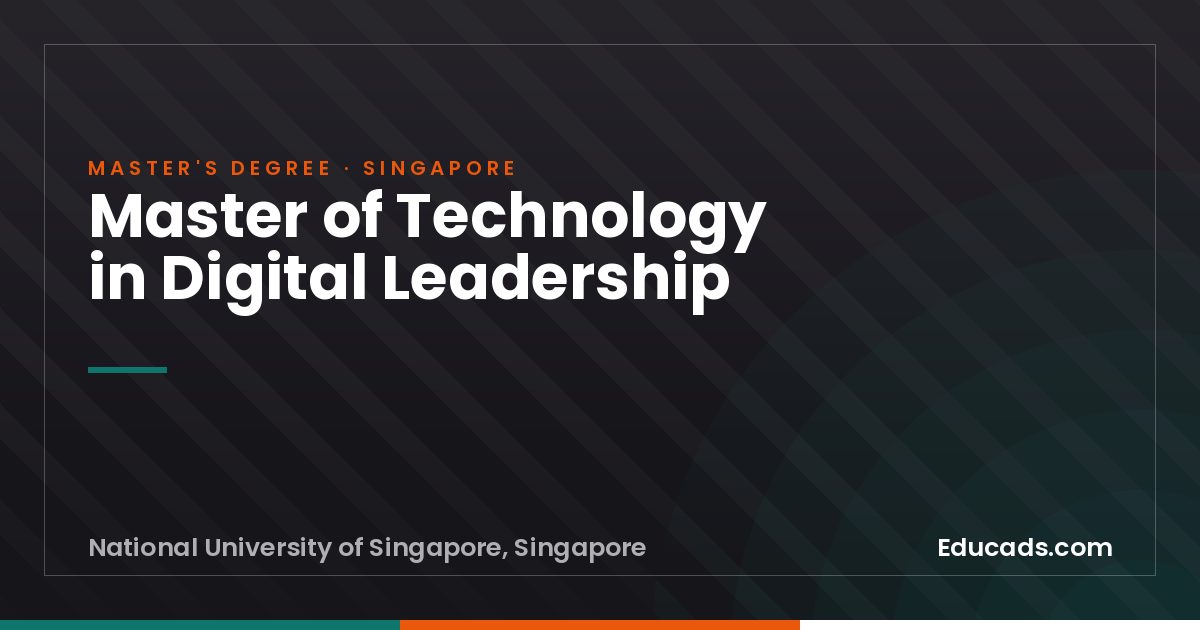Master of Technology in Digital Leadership