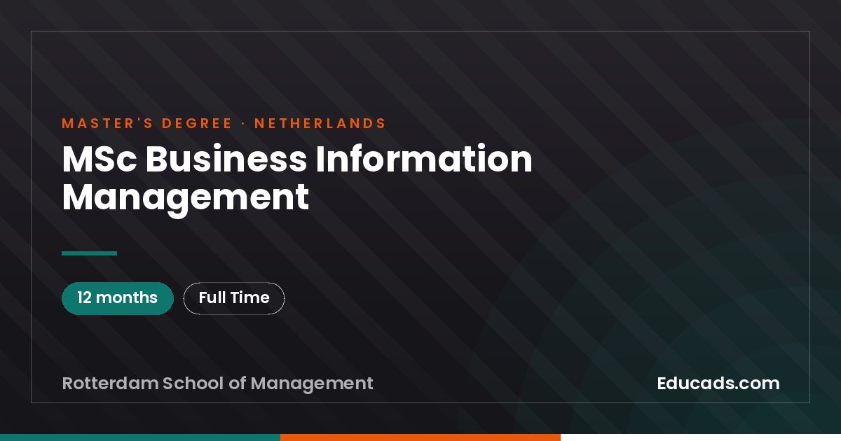 MSc Business Information Management