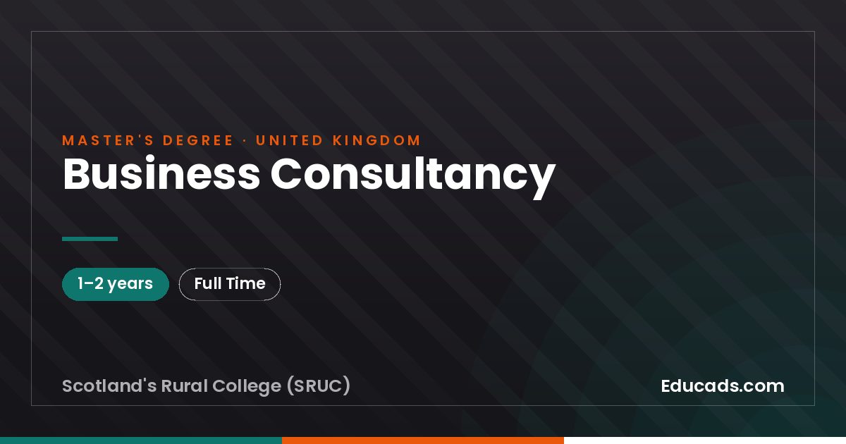Business Consultancy