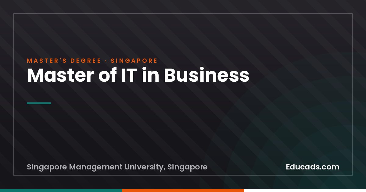 Master of IT in Business