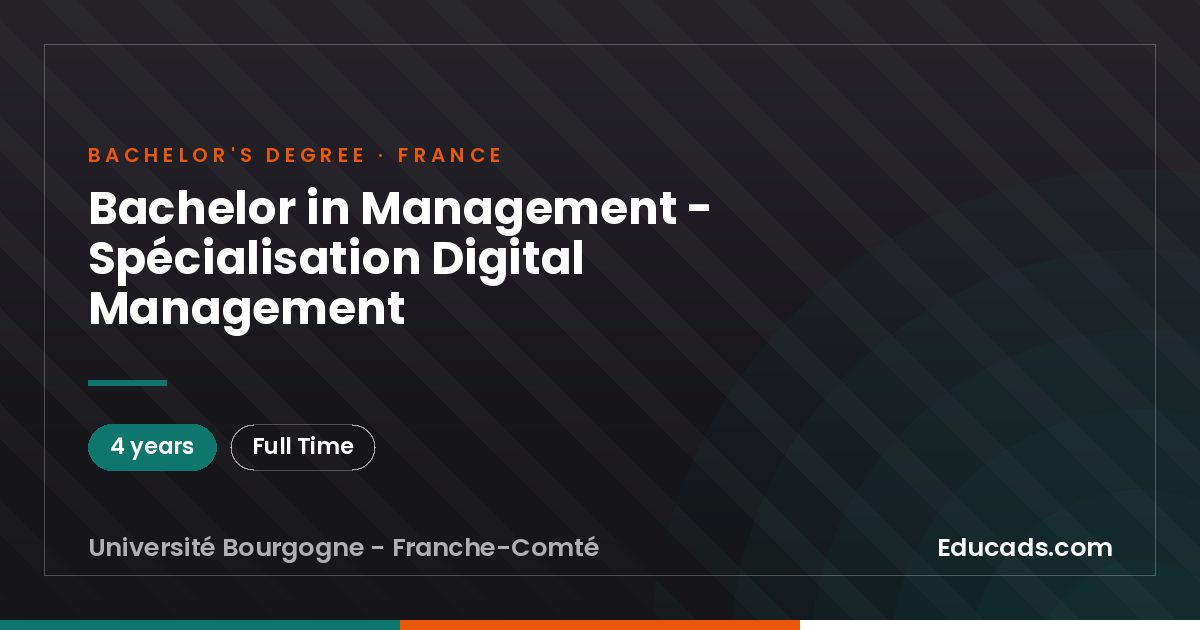 Bachelor in Management - Spécialisation Digital Management