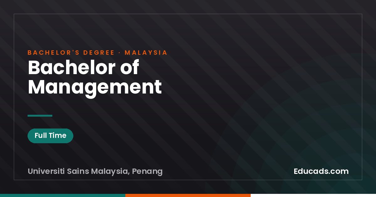 Bachelor of Management