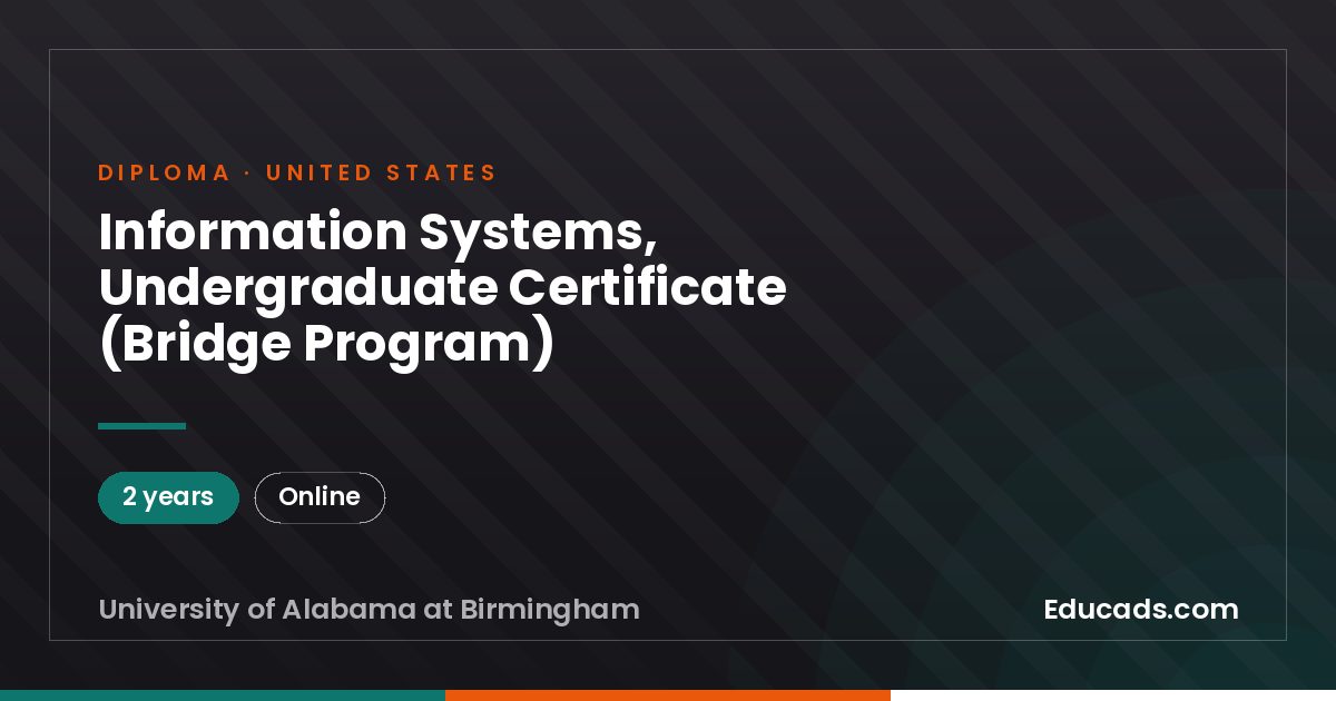 Information Systems, Undergraduate Certificate (Bridge Program)