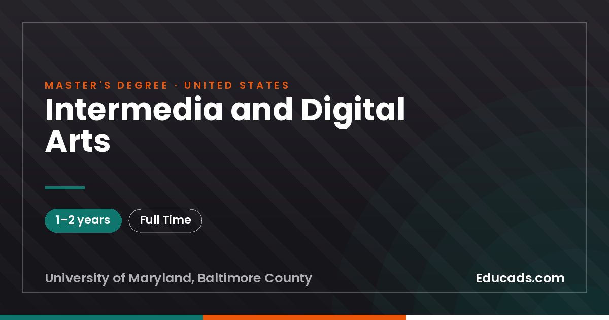Intermedia and Digital Arts
