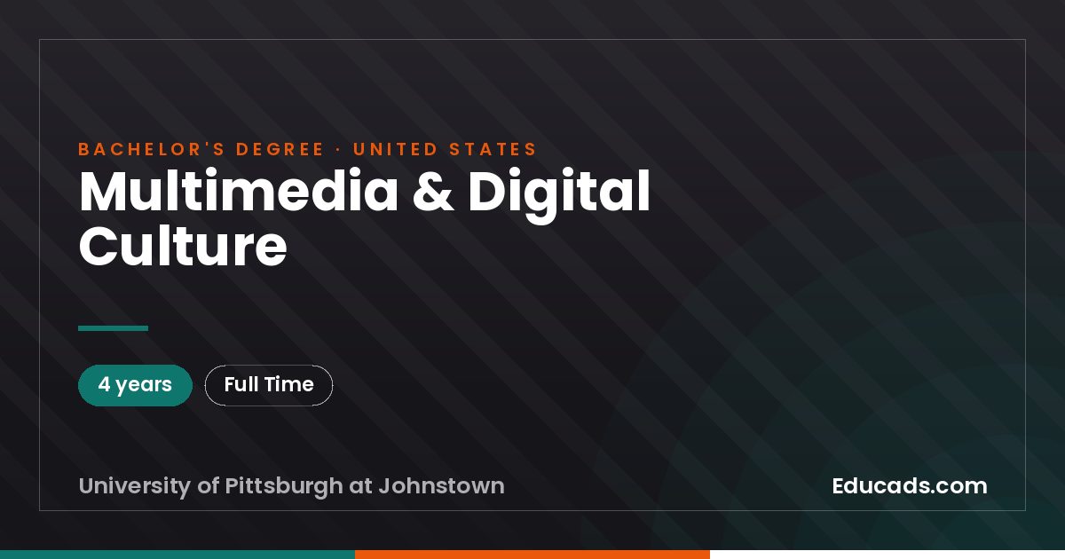 Multimedia & Digital Culture