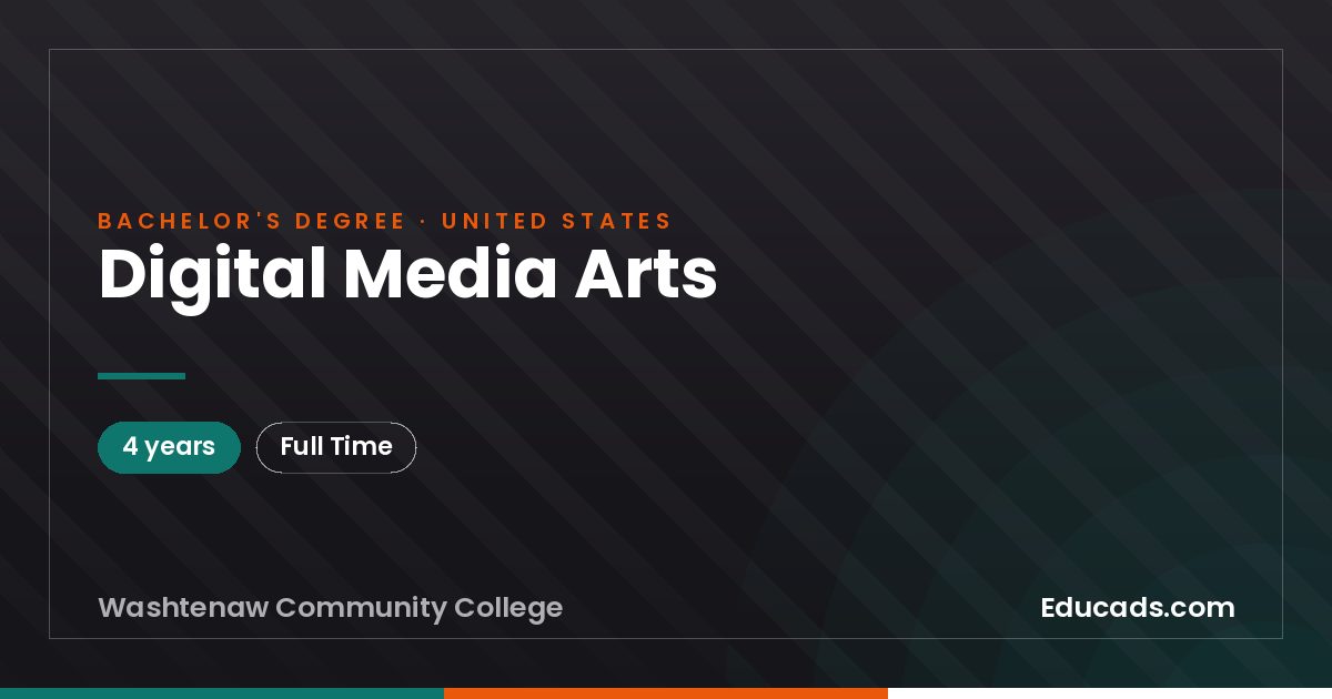 Digital Media Arts