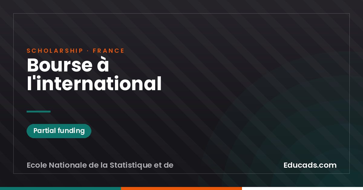 International Scholarship scholarship