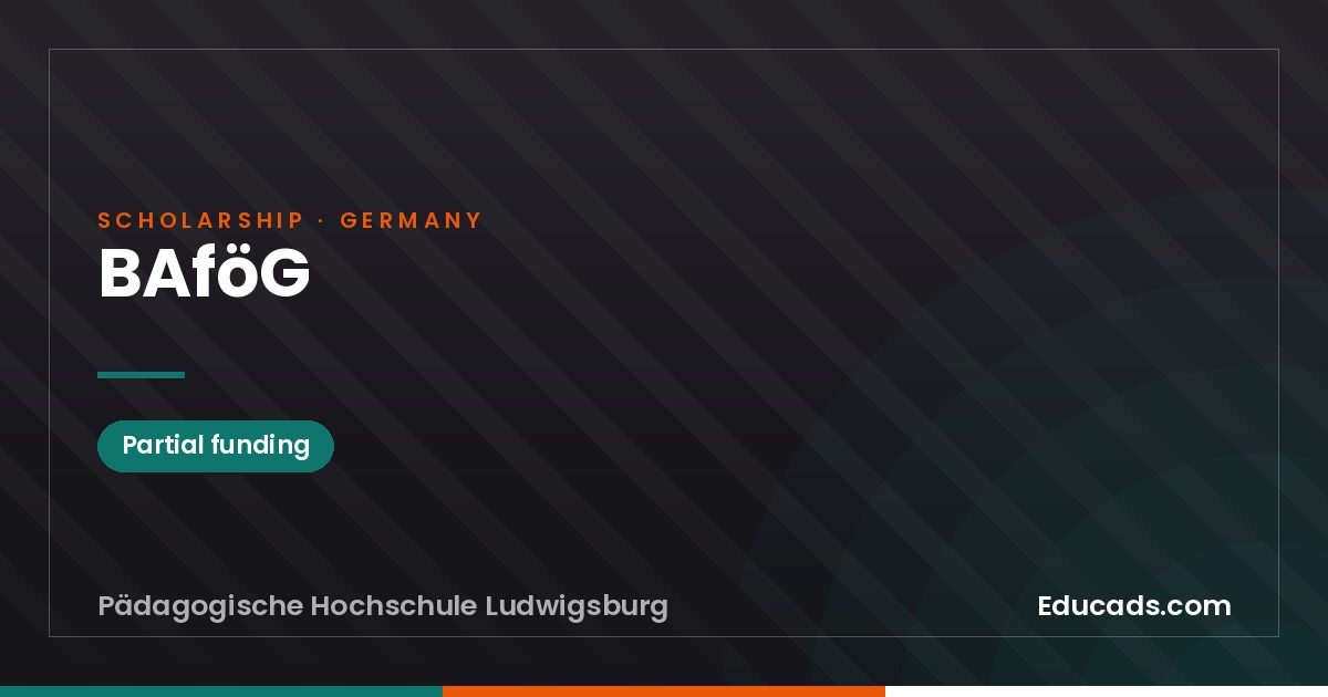 BAföG scholarship
