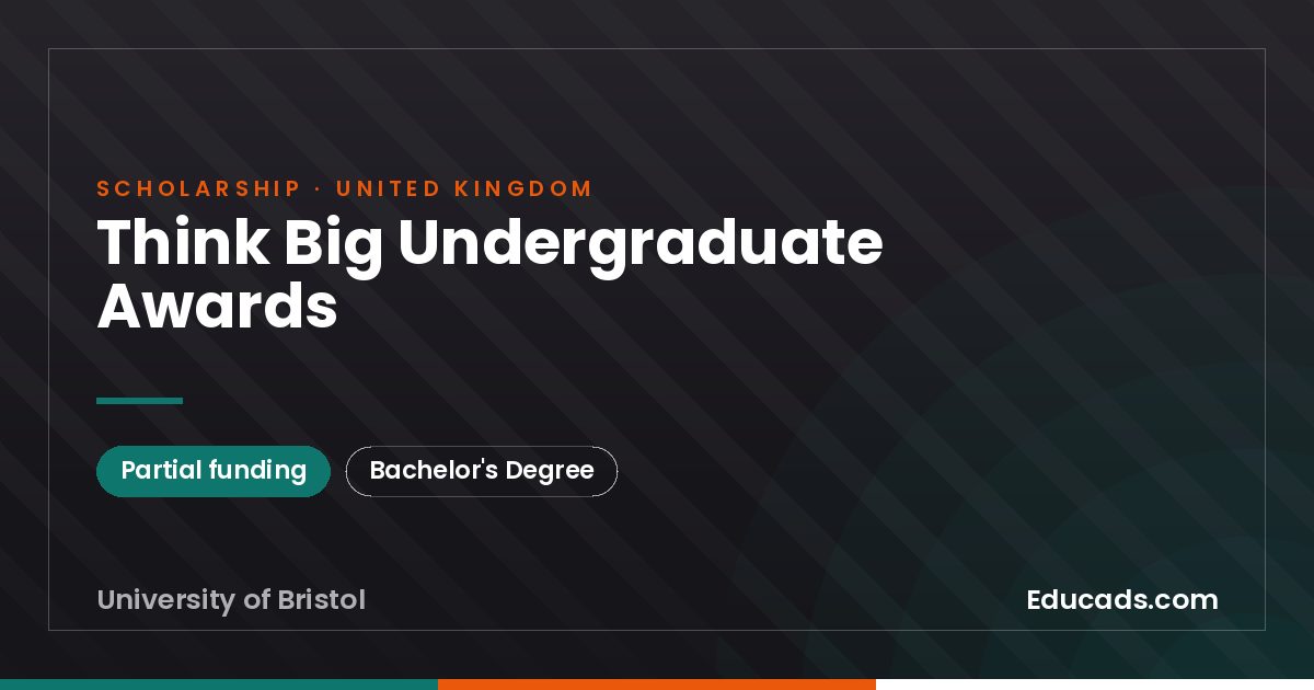 Think Big Undergraduate Awards scholarship