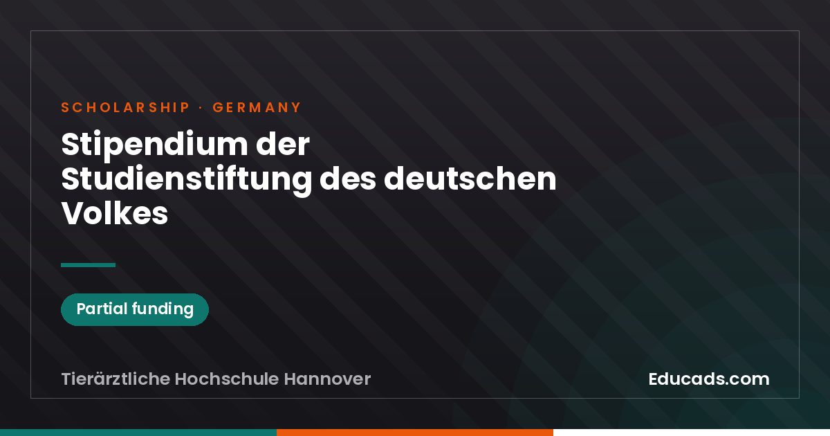 Scholarship of the Studienstiftung des deutschen Volkes scholarship