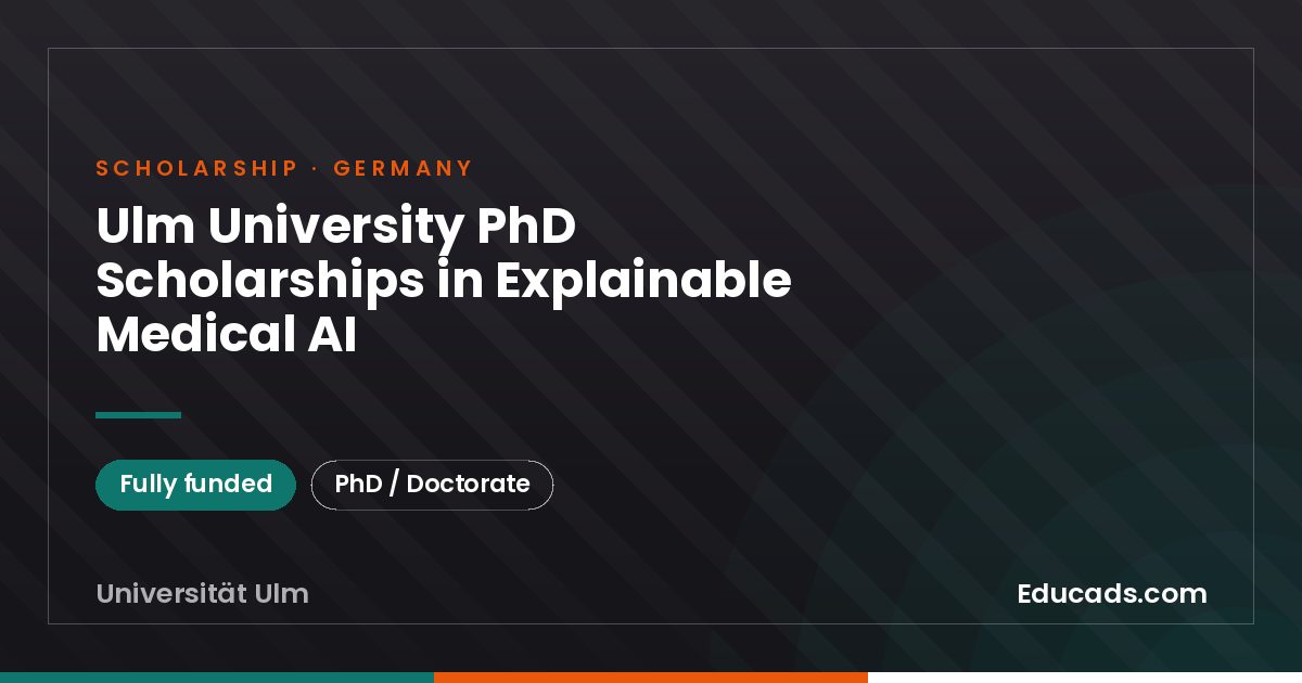 Ulm University PhD Scholarships in Explainable Medical AI scholarship