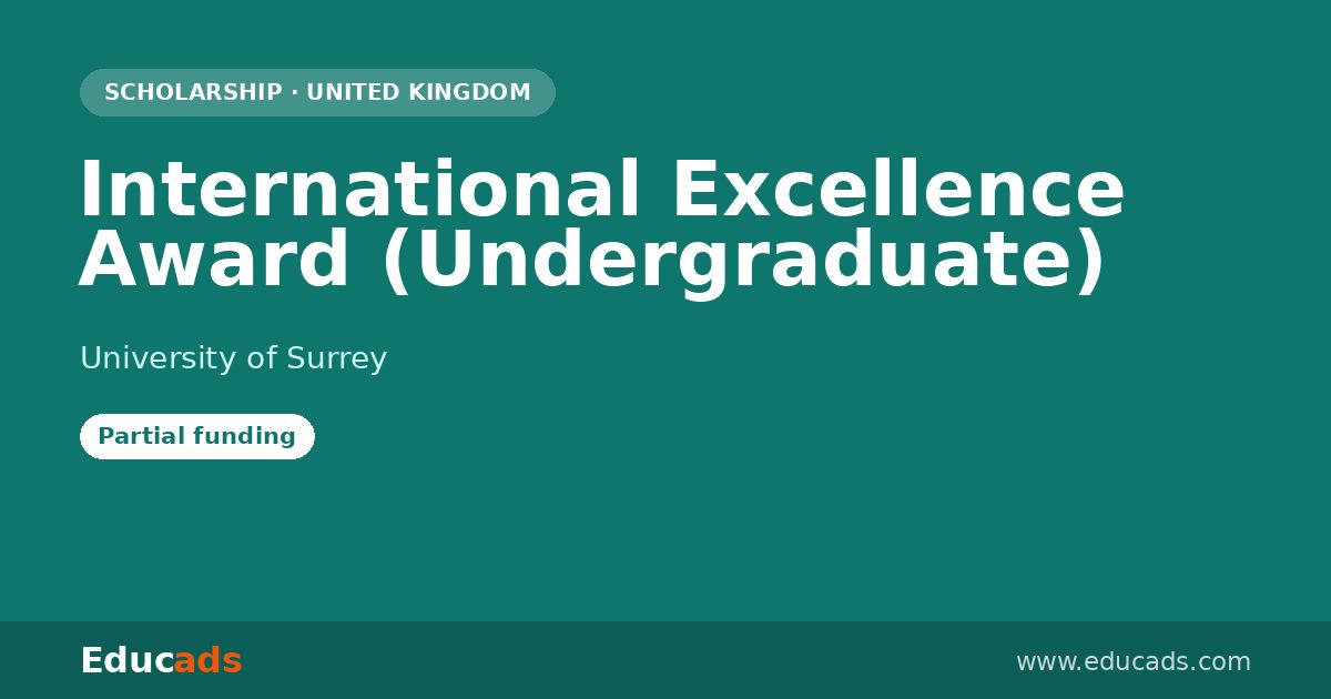 International Excellence Award (Undergraduate) scholarship
