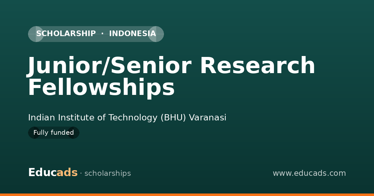 Junior/Senior Research Fellowships scholarship