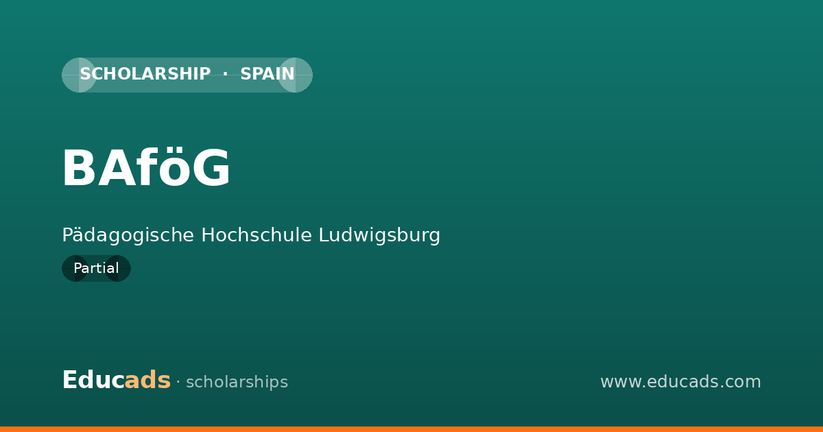 BAföG scholarship
