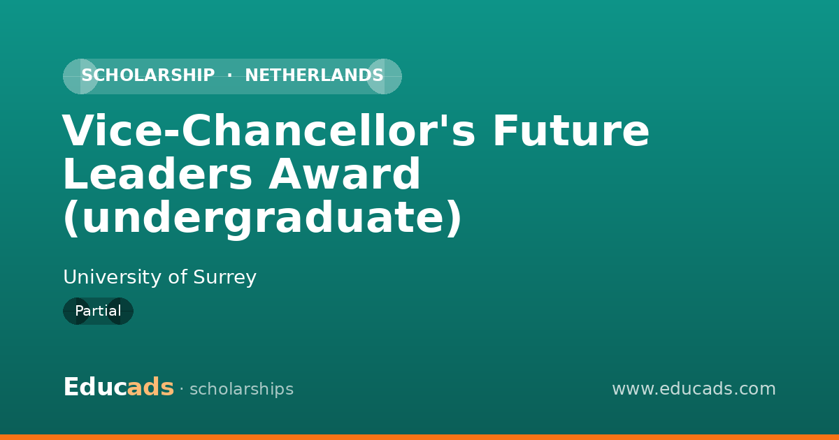 Vice-Chancellor's Future Leaders Award (undergraduate) scholarship