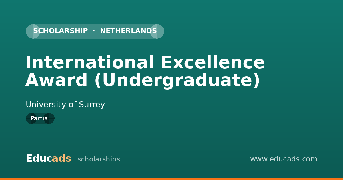 International Excellence Award (Undergraduate) scholarship
